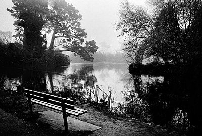 Rainy Day at Stow Lake