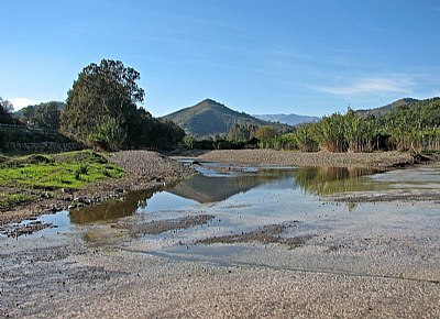 Rio Grande Reflections