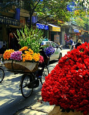 Hanoi Street