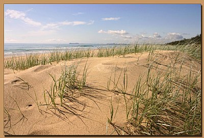 Mudjimba Beach