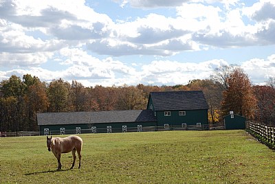 New Jersey Landscape