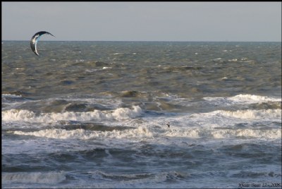 The Mighty Sea