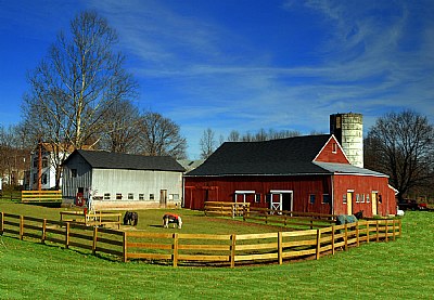 Horse Farm