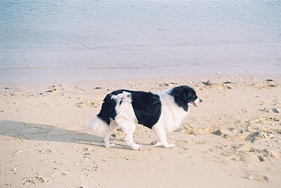 walk on the beach