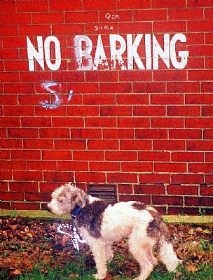 No  Barking  OK