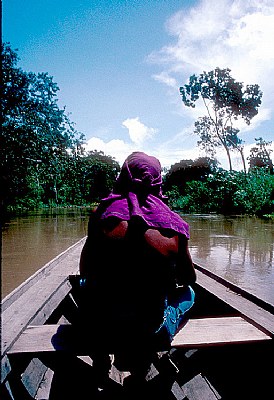 On The Amazon 