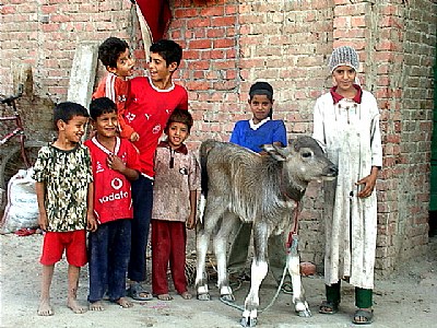 the countryside people