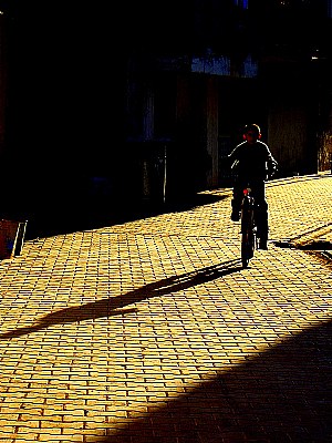 shadow of my bicycle