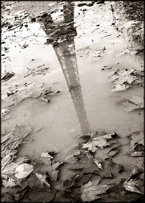 Tour in a puddle