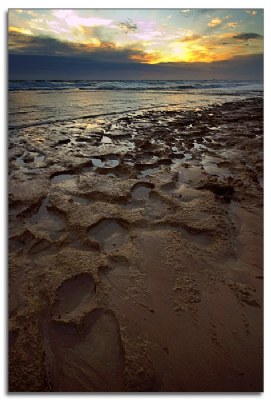 rocky shoreline