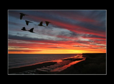 Atardeceres