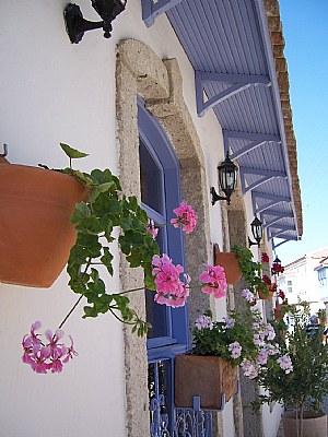 wall flowers