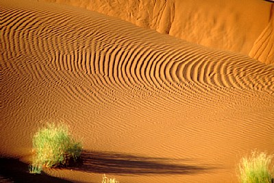 Dunes