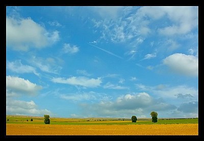 summer landscape