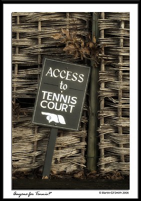 Anyone for Tennis?