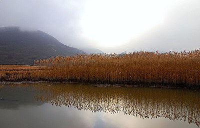 A Break in the Fog