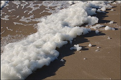 On the beach 4