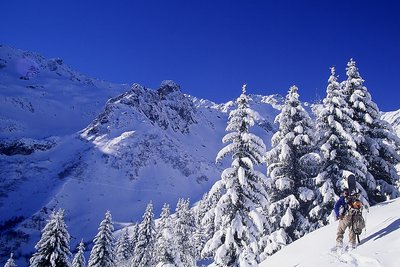 Alpine scene