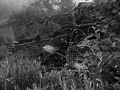 Lobster Traps in Black and White