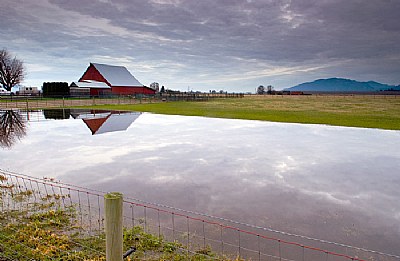 Flooded Reflection