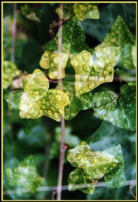 Coordinated leaves