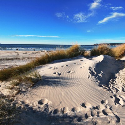 dune adventure