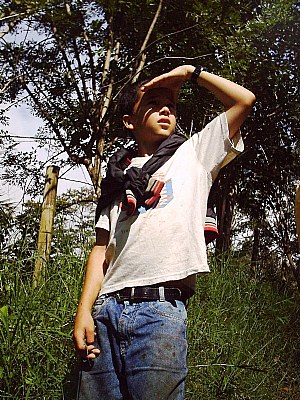 Just looking for.