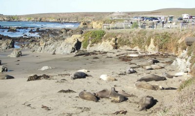 Seal Beach