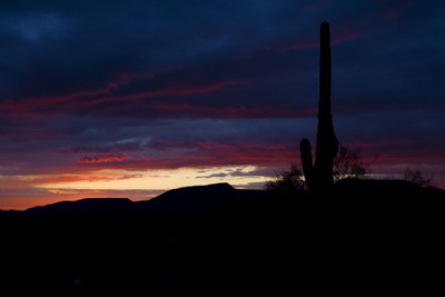 AZ Sunset - For Peta