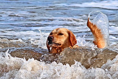 Just Splashing Around!