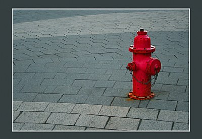 Red Blaze & Bricks