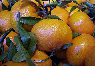 Tangerines