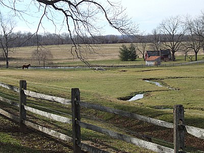 On the Farm