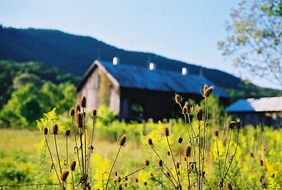 Barn