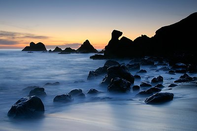 The Sonoma Coast