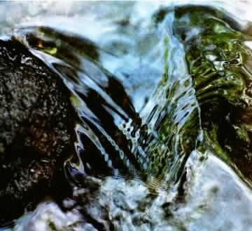 Ripple