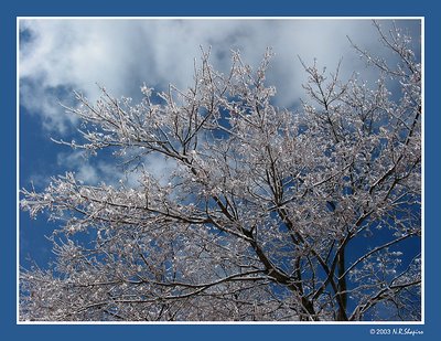 Crystal Tree 2