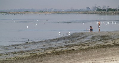 Mum & Dad on a Hazy Day at Altona Beach