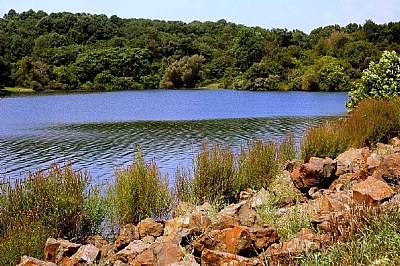 Round Valley in the Summer