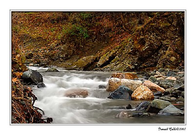 Stream and Autumn