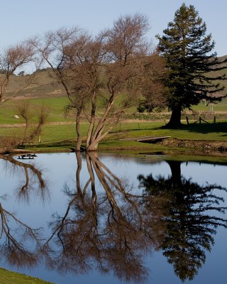 Winter's Reflection