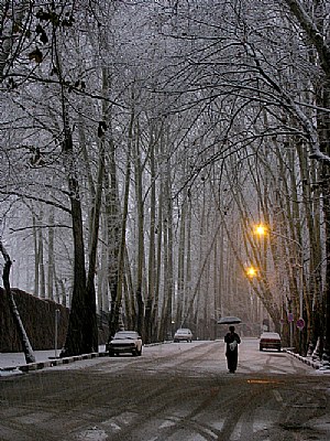 Snowy evening