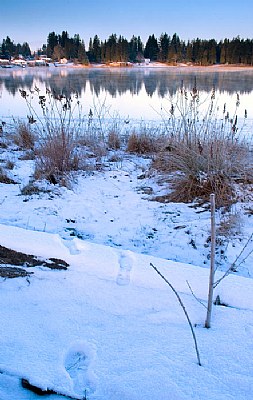 Fresh Footprints