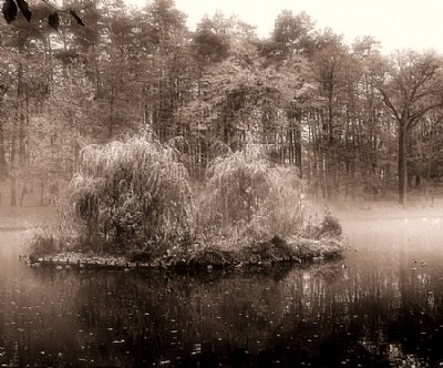 Sepia lake...II