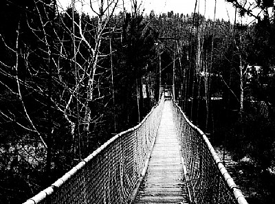 Bridge to Alice