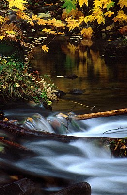 Salmon River Reflections