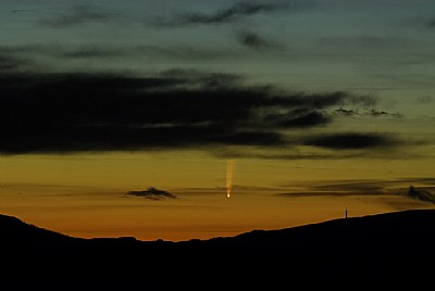 McNaught