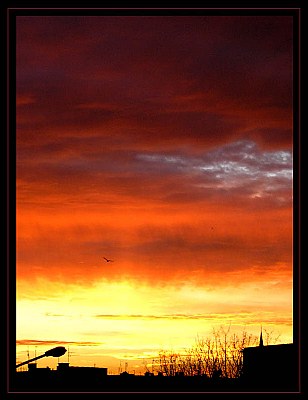 Mornig in the city