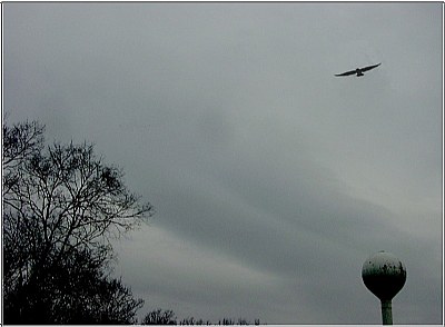 Water tower with gull