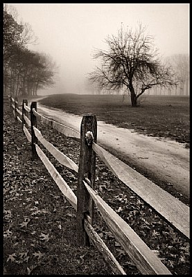 Old wooden fence